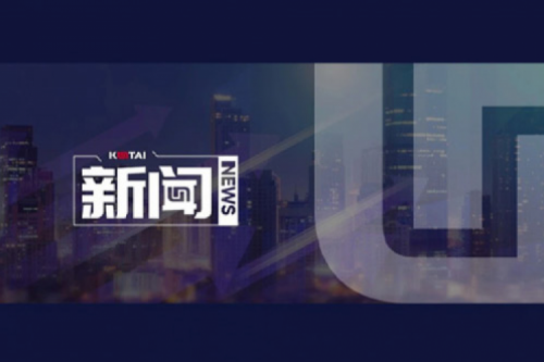 AI驱动新增长，扣非净利提升10%，HTH.COM数码2025一季度稳健开局